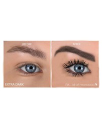 Silk Oil of Morocco - Brow & Lash Duo
