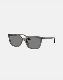 Ray-Ban - RB4439D