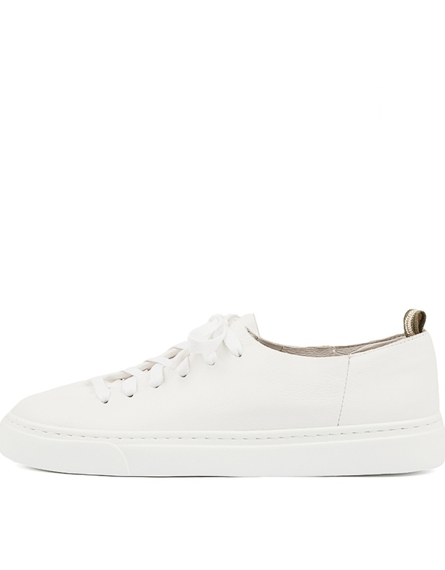 Mollini - Orphic