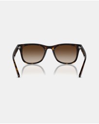 Ray-Ban - 0RB4420