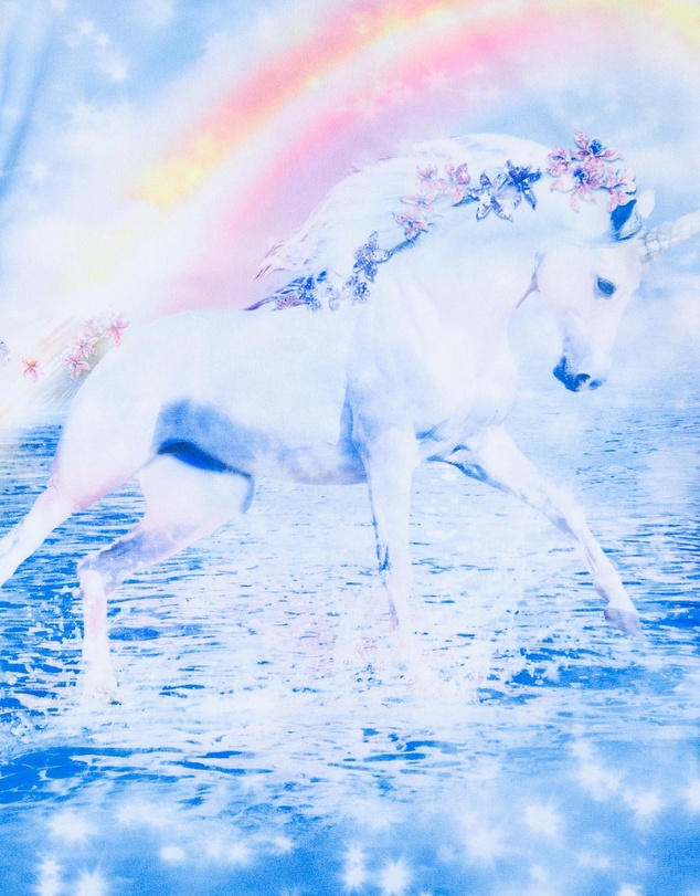 Bluesalt Beachwear - Unicorn Rash Suit
