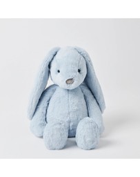 Jiggle and Giggle - Blue Bunny Medium