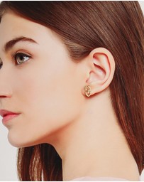 ALDO - Elyan Earrings