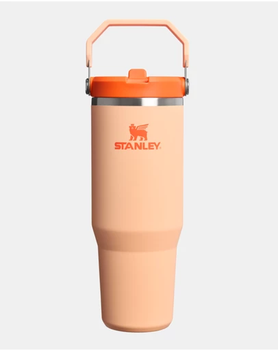 Stanley 1913 - The IceFlow™ Flip Straw Tumbler 30oz