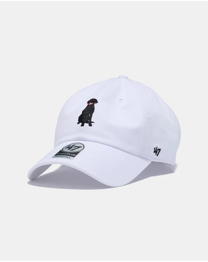 47 - Clean Up Icons Labrador Cap