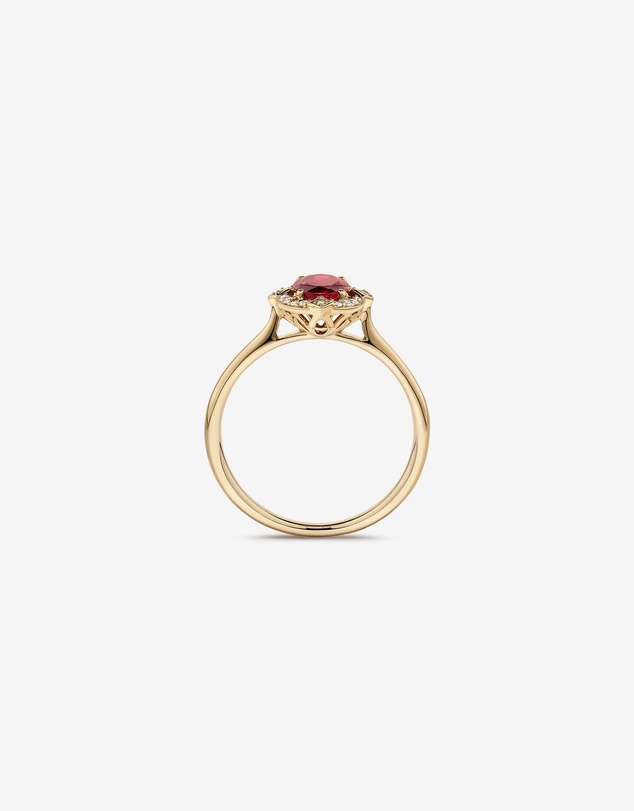 Michael Hill - Oval Cut Created Ruby and Diamond Halo Ring in 10kt Yellow Gold