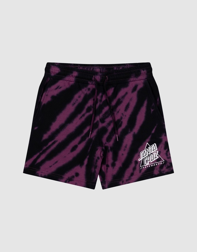 Santa Cruz - Not A Dot Hollow Track Shorts - Teens