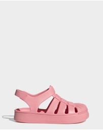 adidas Originals - Superstar Sandals Kids