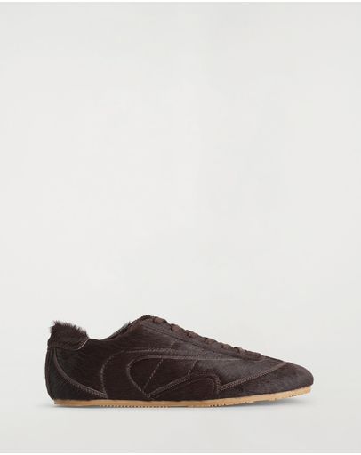 Brown Dark