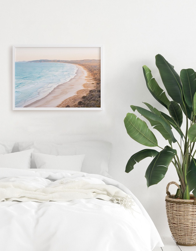 Olive et Oriel - Tallows Bathed in Light Art Print
