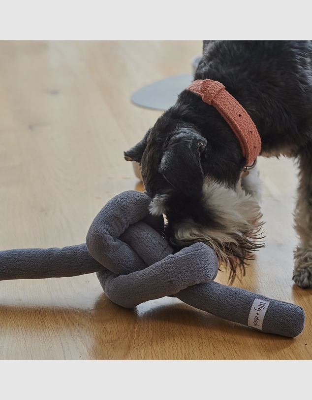 Lilly + Dash - Dog Toy Set - Milk
