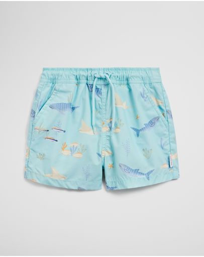 Reef Blue