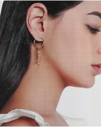 ALDO - Poissons Fish Earrings