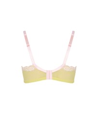 City Chic - Fifi Print Contour Bra
