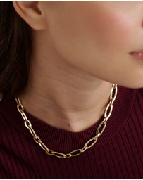 Ted Baker - SHIYA: Crystal Shimmer Chain Necklace