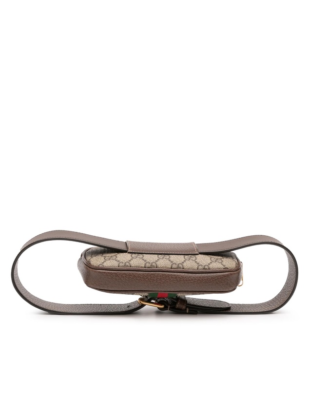 Pre-Loved by Azura Reborn - Pre-Loved Small GG Supreme Web Ophidia Belt Bag