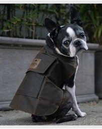 Jacaru - Jacaru 6510 Dog Coat