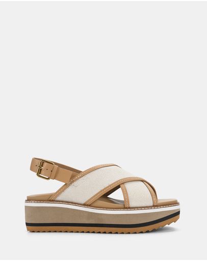 Camel / Bone