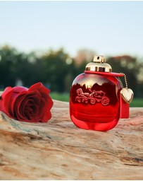 Coach - Coach Love 30ml