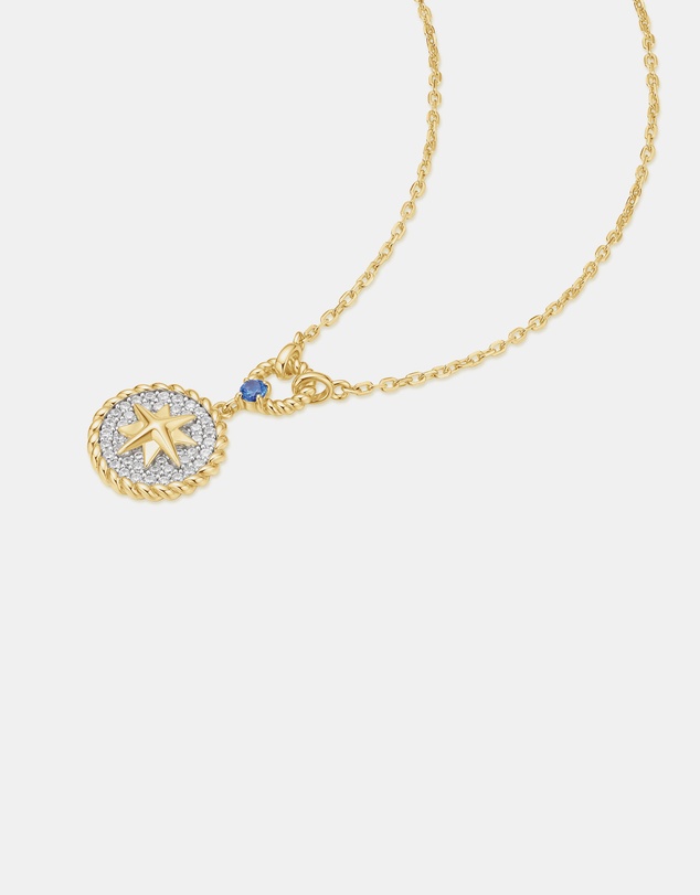 Ania Haie - Ania Haie Two-Tone Eight-Pointed Star Signet Necklace