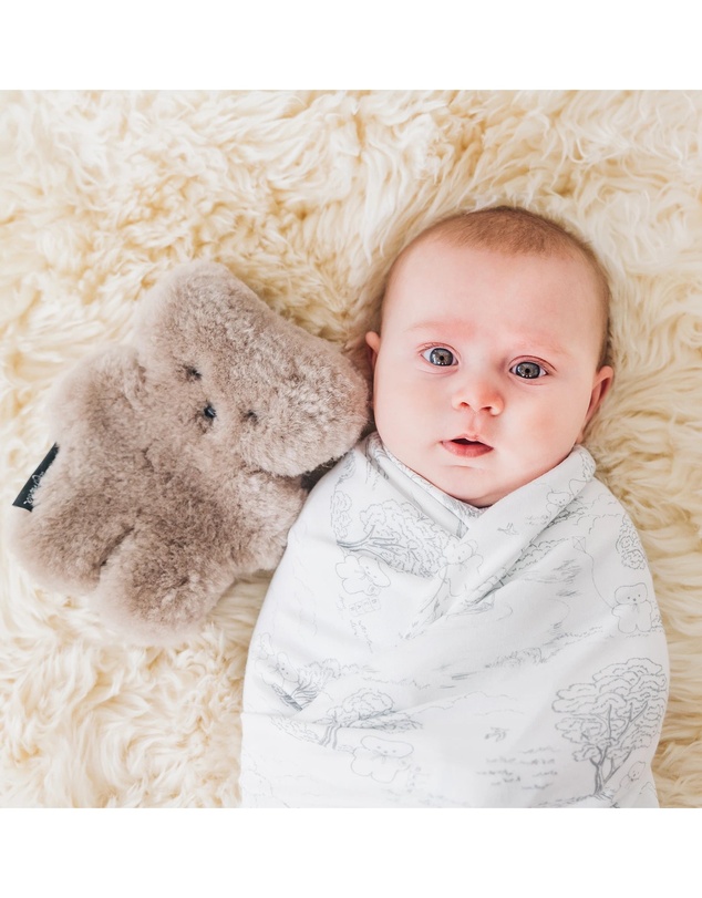 FLATOUTbear - Baby Chocolate