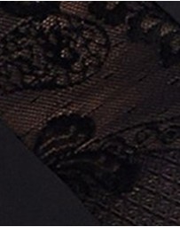Sans Complexe - Perfect Shape Microfiber & Lace Brief