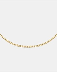 Daniel Wellington - Elan Box Chain Necklace Long