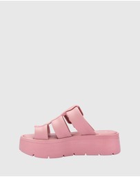Melissa - Melissa Pump Platform