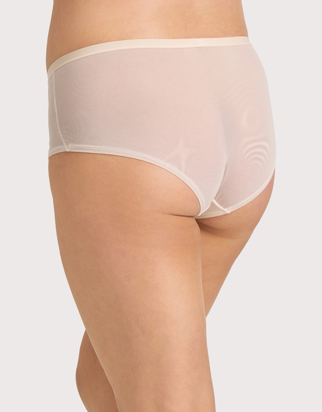 Ava & Audrey  - Ava & Audrey Lillian Embroidered Mesh Full Brief