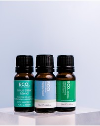 ECO. Modern Essentials - ECO. Headache Ease Essential Oil Trio