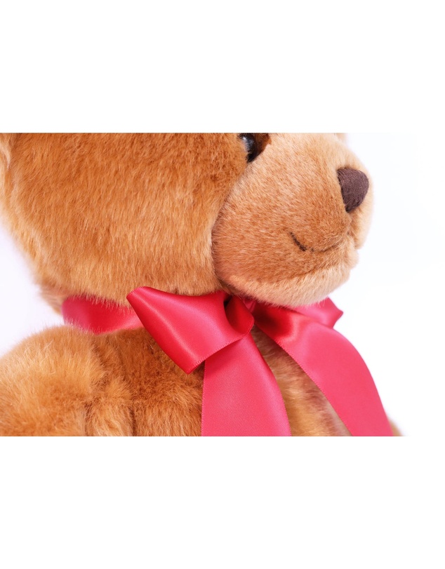 Animal Allsorts - Bingo Bear 12 Inch