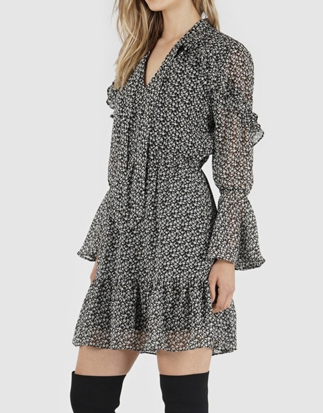 Amelius - Nissa Print Dress