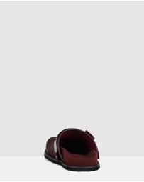 Rollie - Mills Mule Flat