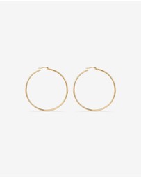 Michael Hill - Hoop Earrings in 10kt Yellow Gold