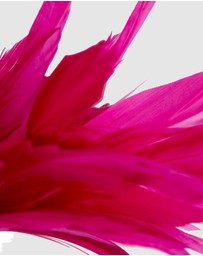 Max Alexander - Modern Fuchsia Racing Fascinator