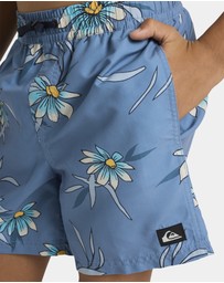 Quiksilver - Boys 8 to 16 Everyday 14