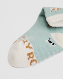 Country Road - Dog Sock