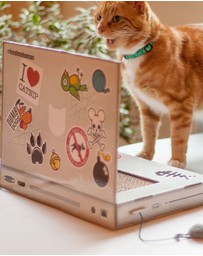 Suck UK - Cat Playhouse Scratch Laptop
