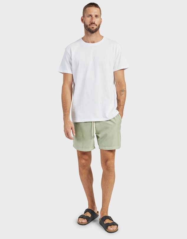 Academy Brand - Teamster Boardy