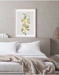 Olive et Oriel - Lemons on Linen II