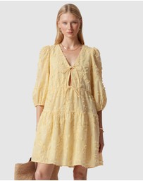 & Other Stories - Embroidered Mini Dress