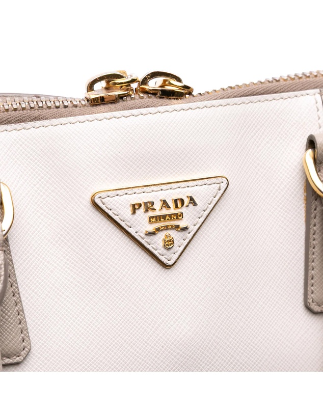 Pre-Loved by Azura Reborn - Pre-Loved Medium Bicolor Saffiano Lux Promenade Satchel