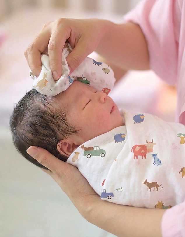 Toshi - Wrap Muslin Arcadia
