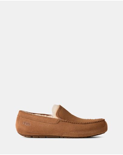 Chestnut