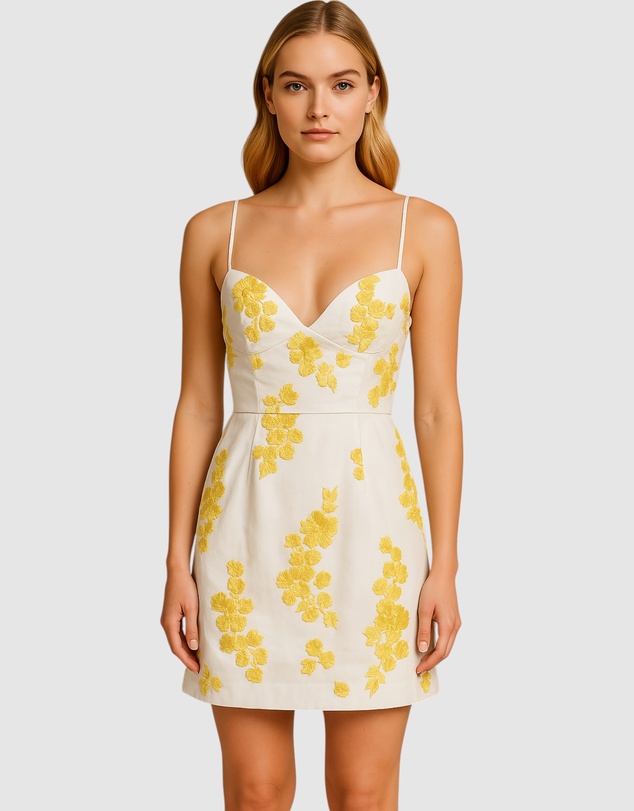 Romance by Honey and Beau - Minaki Plunge Neck Mini