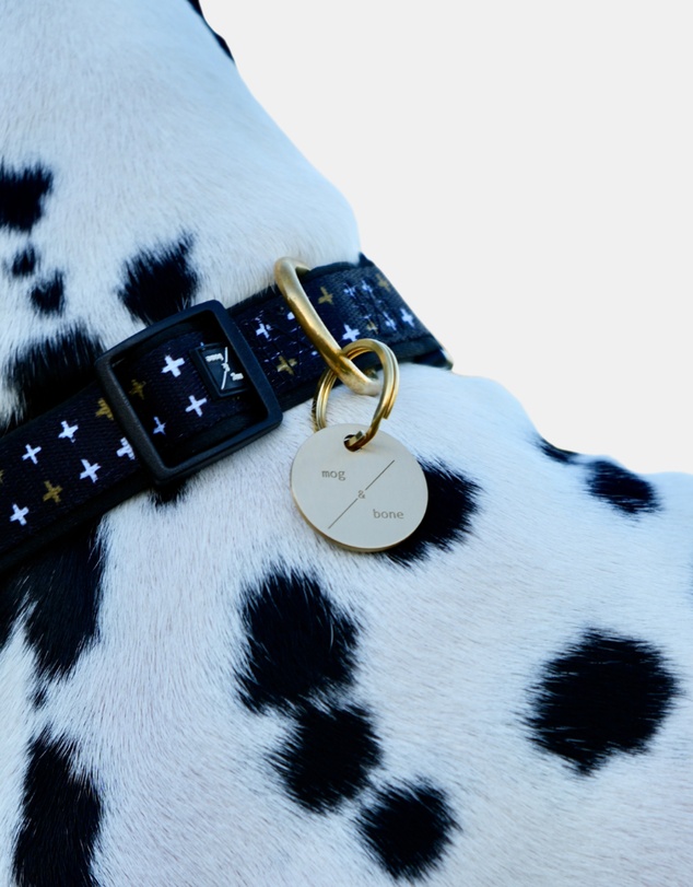 Mog & Bone - Mog & Bone ID Tag - Brass
