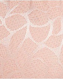 Sans Complexe - Perfect Curves Smooth Lace Wired T-Shirt Bra