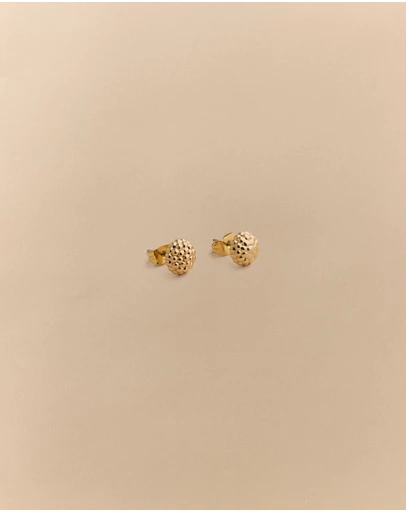 Trenery - Rava Stud Earrings in Gold