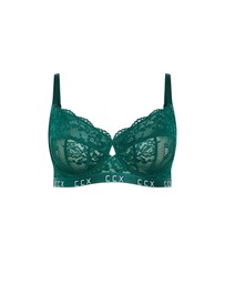 City Chic - Signature Underwire Bra