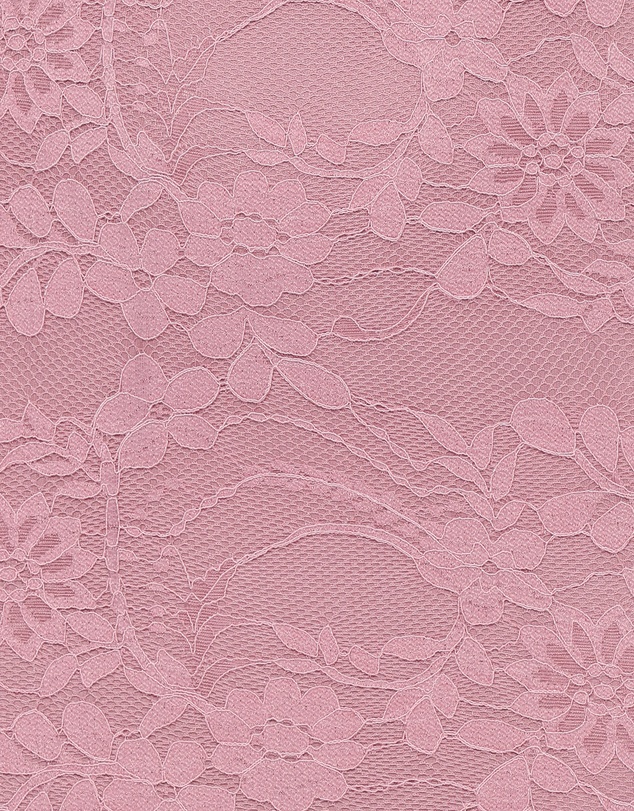 Petal & Pup - Mirelle Off Shoulder Lace Maxi Dress - Pink